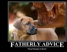 Image result for Advice Dog Meme