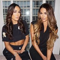 Image result for Nikki Bella Hair Color