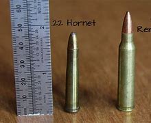 Image result for 22 Magnum vs 223