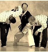 Image result for Deadliest Martial Arts Moves