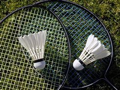 Image result for Badminton Full Equipment