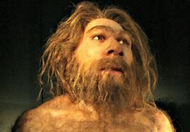 Image result for Homo Neanderthalensis