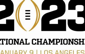 Image result for Football Championsip Logo