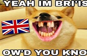 Image result for How Do You Know You Are Free Meme