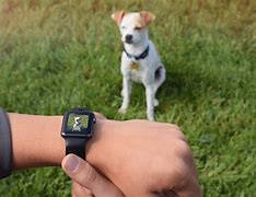 Image result for Apple Fob Watch