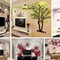 Image result for Wall Stickers Decoration for Home