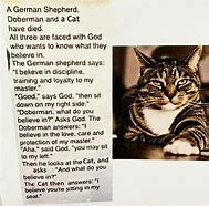 Image result for Cat God Meme