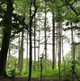 Image result for delamere_