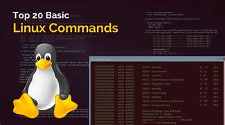 Image result for Linux Basics for Beginners