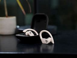 Image result for PowerBeats Pro Totally Wireless