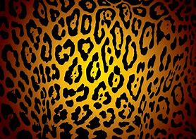 Image result for Girly Cheetah Print Backgrounds