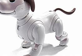 Image result for Aibo Label