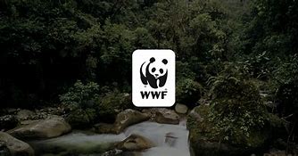Image result for WWF Nature