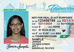 Image result for Oregon Not-For Real ID Act