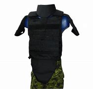 Image result for Canadian Armed Forces Vest