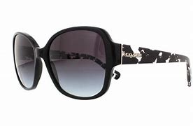 Image result for Coach Sunglasses 1338