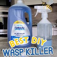 Image result for Homemade Wasp Killer Spray