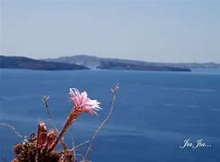Image result for Aegean Sea Chinese