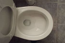 Image result for Roca D4 Toilet Flush Button