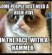 Image result for Bing Funny Cat Memes