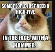 Image result for Stoopid Cat Meme