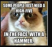 Image result for Cute Cat Memes