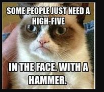 Image result for Wednesday Funny Kitty Meme