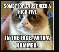 Image result for Funny Cat Friend Memes