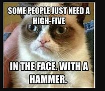 Image result for Crazy Cat Hilarious