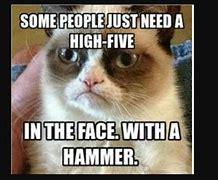 Image result for Funny Humor Birthday Meme Cat