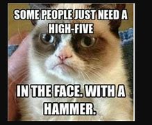 Image result for Meme Cat Face Anger