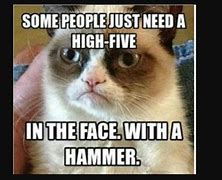 Image result for Funny Cat Memes for a Rainy Day