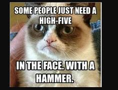 Image result for Funny Cat Pictures Memes 2023