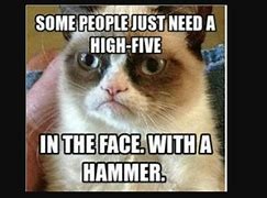 Image result for You Cat Hold Meme