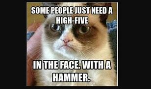 Image result for Your Mean Cat Meme