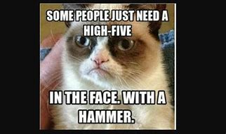Image result for Pinterest Funny Cat Memes
