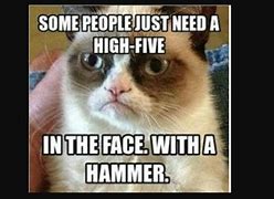 Image result for Funny Mean Cat Memes