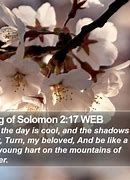 Image result for Song of Solomon Tart