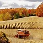 Image result for Free Images of Fall Harvest