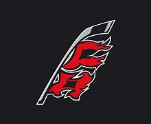 Image result for Hurricanes Team Logo