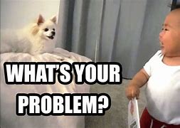 Image result for What's Your Problem Meme