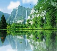 Image result for Cool Nature Screensavers