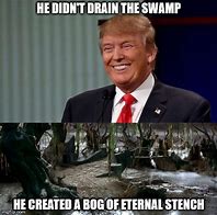 Image result for Drain the Swamp Meme