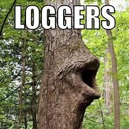 Image result for All the Logs Meme