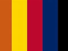 Image result for Unviersity of Arizona Colors