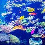 Image result for acuario