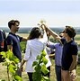 Image result for Ruinart Champagne Tour