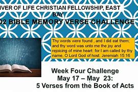 Image result for Bible Verse Challenge