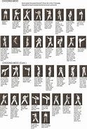 Image result for Taekwondo Forms Martial Arts