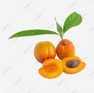 Image result for Organic Apricots